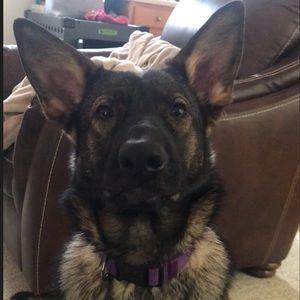 Meet your Posher, Samantha